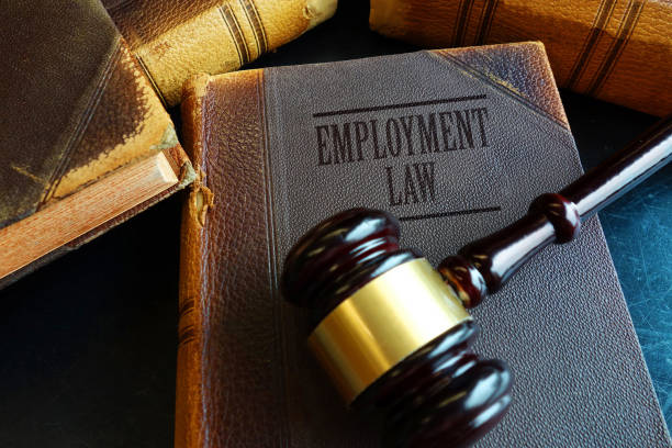 Avocat en droit du travail : les avantages pour une entreprise