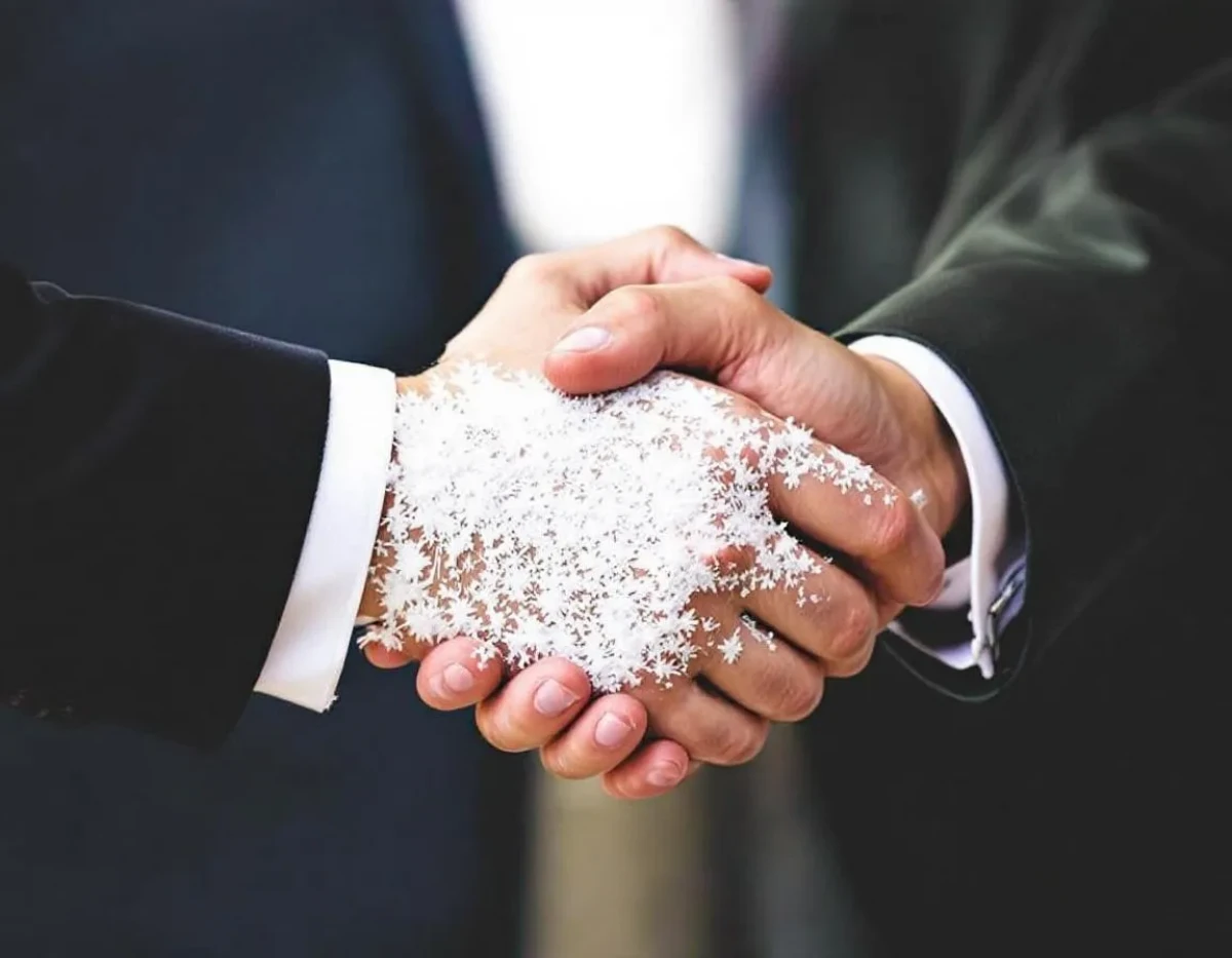 Régimes Matrimoniaux en 2025 : Choisir le Bon Contrat